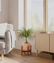 Load image into Gallery viewer, Calm Rose stand:walnut