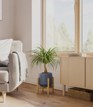Load image into Gallery viewer, Deep Navy stand:bamboo