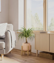 Load image into Gallery viewer, Gentle Pink stand:bamboo