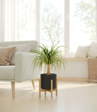 Load image into Gallery viewer, Black stand:bamboo