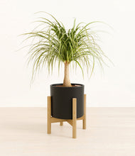Load image into Gallery viewer, Black stand:bamboo