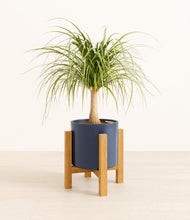 Load image into Gallery viewer, Deep Navy stand:light
