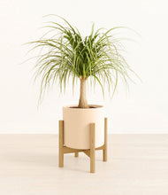 Load image into Gallery viewer, Cream stand:bamboo