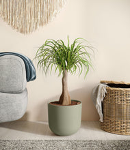 Load image into Gallery viewer, Sage Green