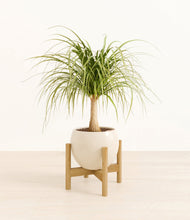 Load image into Gallery viewer, Shiny EggWhite stand:bamboo