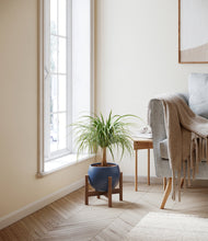 Load image into Gallery viewer, Deep Navy stand:walnut