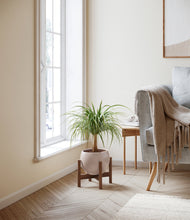 Load image into Gallery viewer, Desert Brown stand:walnut