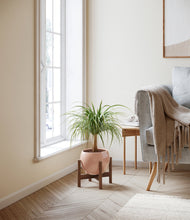 Load image into Gallery viewer, Calm Rose stand:walnut