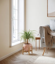 Load image into Gallery viewer, Calm Rose stand:bamboo