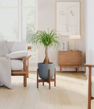 Load image into Gallery viewer, Iron Gray stand:walnut