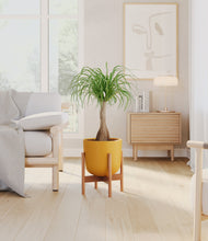 Load image into Gallery viewer, Sunset Orange stand:bamboo