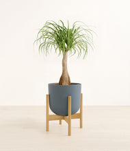Load image into Gallery viewer, Iron Gray stand:bamboo
