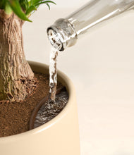 Load image into Gallery viewer, Almond Green stand:all