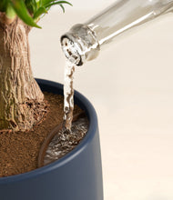 Load image into Gallery viewer, Deep Navy stand:all