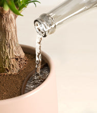 Load image into Gallery viewer, Gentle Pink stand:all