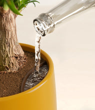 Load image into Gallery viewer, Mustard stand:all