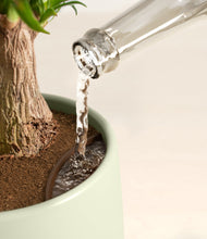 Load image into Gallery viewer, Turquoise stand:all