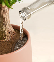 Load image into Gallery viewer, Calm Rose stand:all