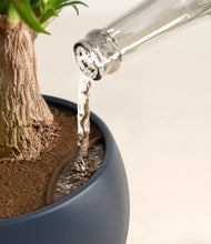 Load image into Gallery viewer, Deep Navy stand:all