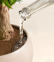 Load image into Gallery viewer, Desert Brown stand:all