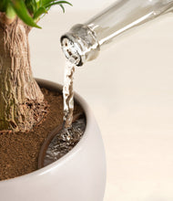 Load image into Gallery viewer, Winter Clouds stand:all