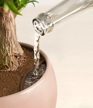 Load image into Gallery viewer, Calm Rose stand:all