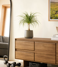 Load image into Gallery viewer, Olive