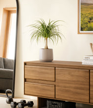 Load image into Gallery viewer, Eternal Gray