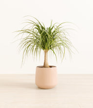 Load image into Gallery viewer, Gentle Pink*****Profile