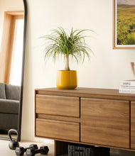 Load image into Gallery viewer, Mustard