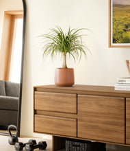 Load image into Gallery viewer, Calm Rose