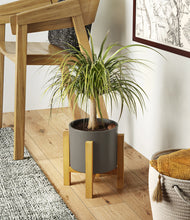 Load image into Gallery viewer, Dark Olive stand:light