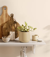 Load image into Gallery viewer, Almond Green