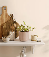 Load image into Gallery viewer, Sandy Pink