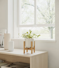 Load image into Gallery viewer, Cotton White stand:bamboo