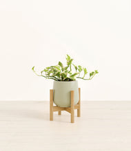 Load image into Gallery viewer, Turquoise stand:bamboo