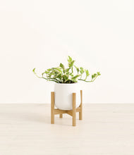Load image into Gallery viewer, White stand:bamboo