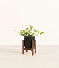 Load image into Gallery viewer, Black stand:walnut