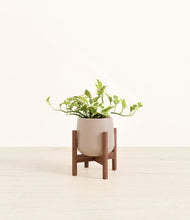Load image into Gallery viewer, Eternal Gray stand:walnut