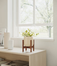 Load image into Gallery viewer, Almond Green stand:walnut