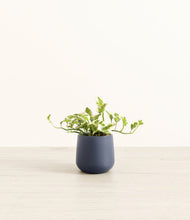 Load image into Gallery viewer, Deep Navy*****Profile