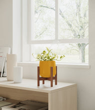 Load image into Gallery viewer, Mustard stand:walnut