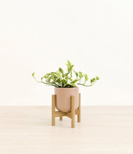 Load image into Gallery viewer, Glossy Pink stand:bamboo