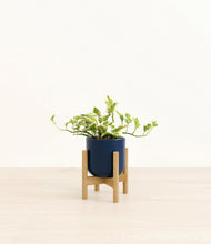 Load image into Gallery viewer, Twilight Blue stand:bamboo