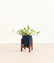Load image into Gallery viewer, Twilight Blue stand:walnut