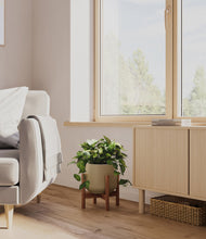 Load image into Gallery viewer, Olive stand:walnut