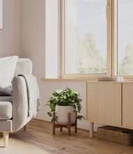 Load image into Gallery viewer, Eternal Gray stand:walnut