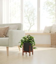 Load image into Gallery viewer, Black stand:walnut