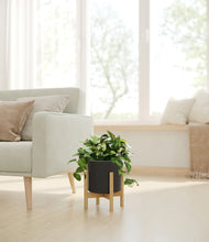 Load image into Gallery viewer, Black stand:bamboo