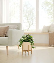 Load image into Gallery viewer, Cream stand:bamboo